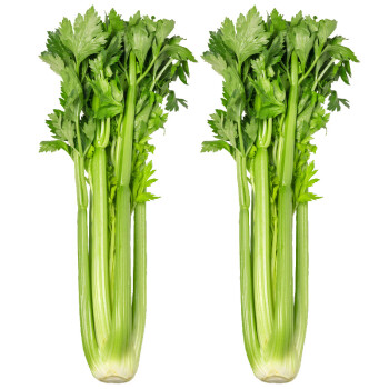京地达美邻惠享家河北西芹5斤装新鲜半叶大棵芹菜农家种食用嫩心饺子馅榨汁脆嫩无丝	